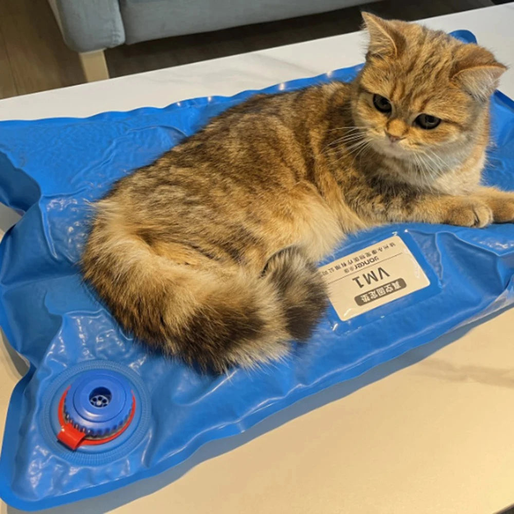 Veterinary Vacuum Positioning Mat for Pet Exams & Surgery