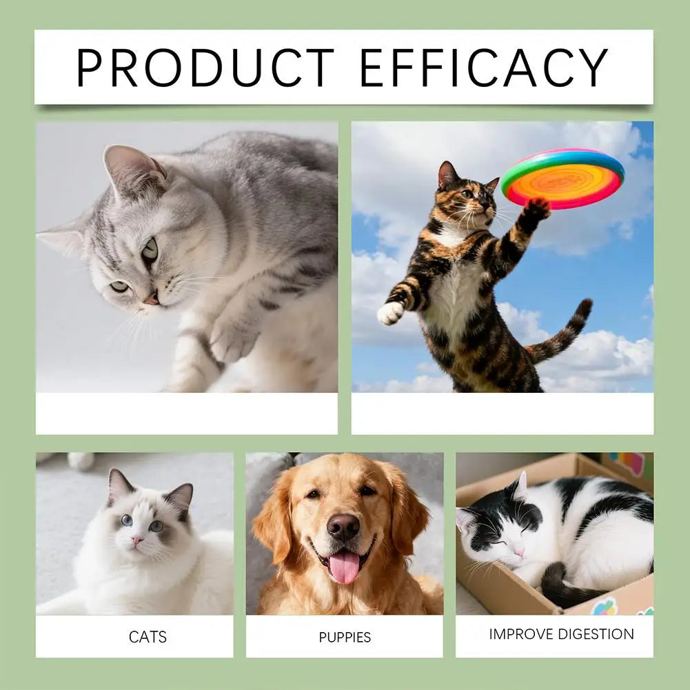 Pet Nutrition Supplement Probiotic Drops Containing Enzymes Used For Dog Cat Digestion And Immune Support Health Supplement 60ML