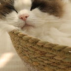 Portable Rattan & Seagrass Cat Bed Nest (All-Season)