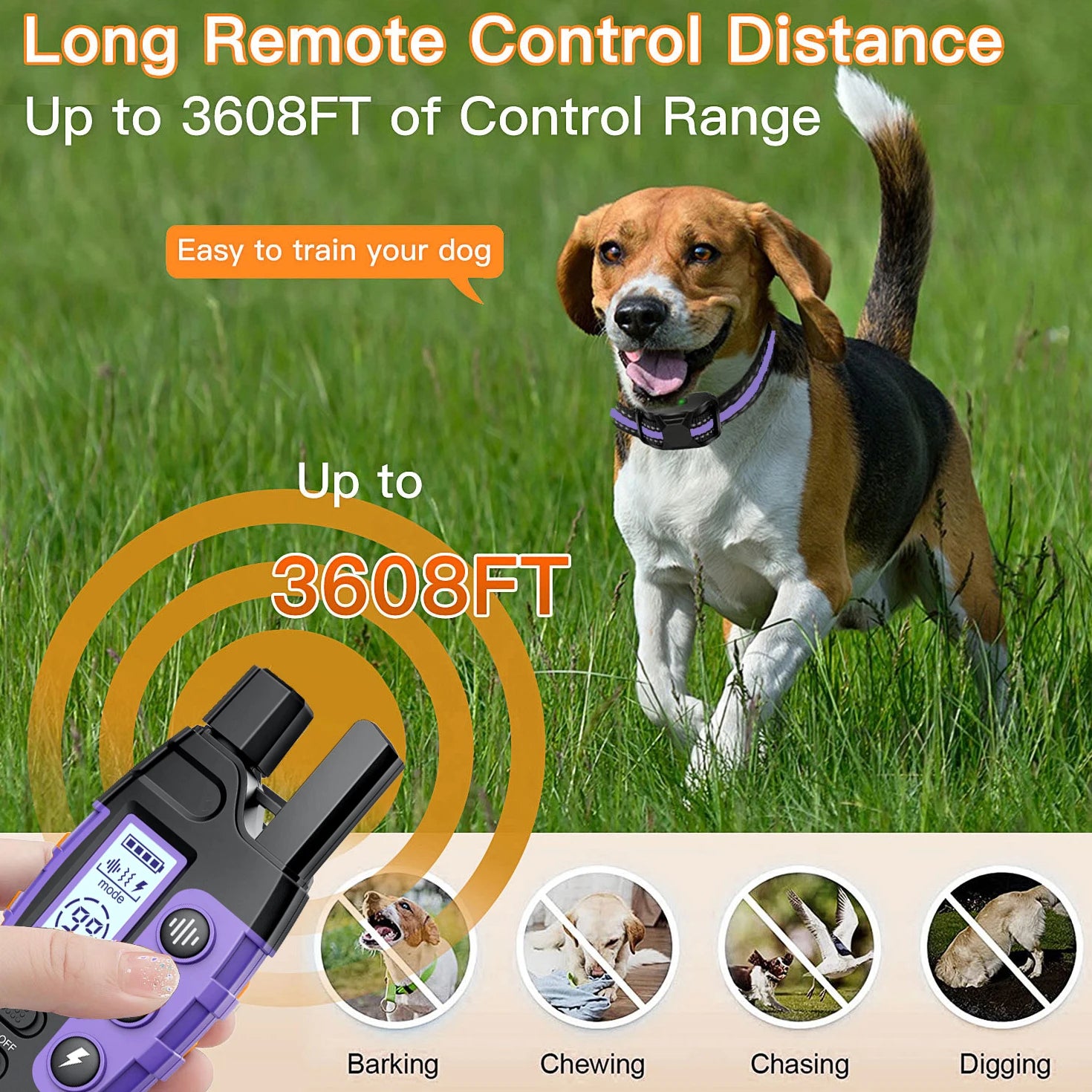 1000m Waterproof Dog Training Collar with Remote