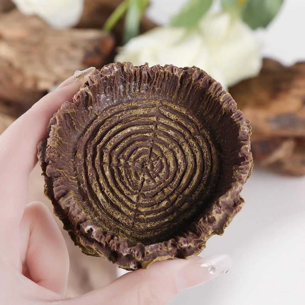 Reptile Bathing Dish Tortoise Feeder Amphibians Habitat Reptile Water Food Bowl Feeding Dish for Bearded Dragons Turtle