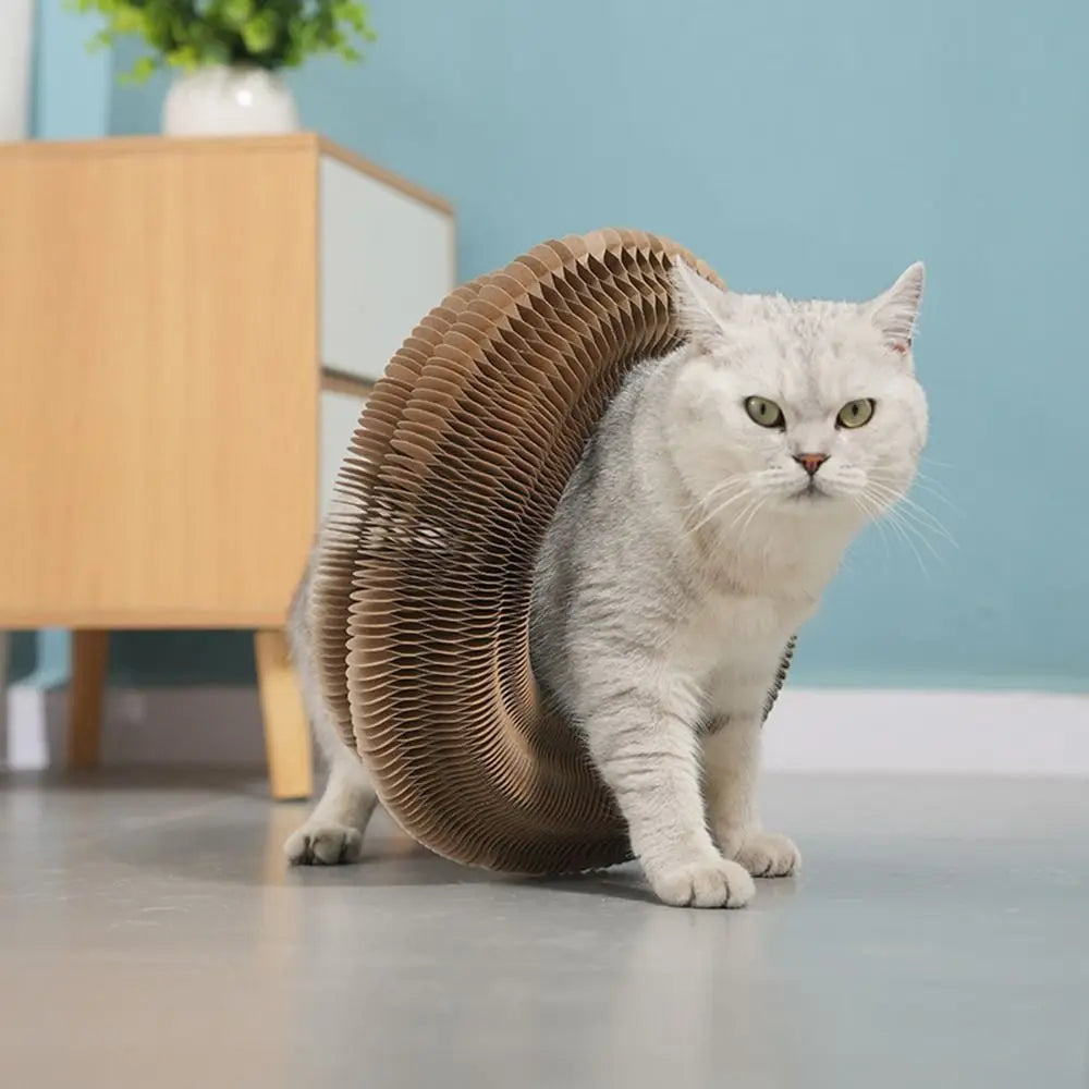 Wear-Resistant Cat Scratch Ball Board Toy — Transformable Crumb-Free Scratching Toy