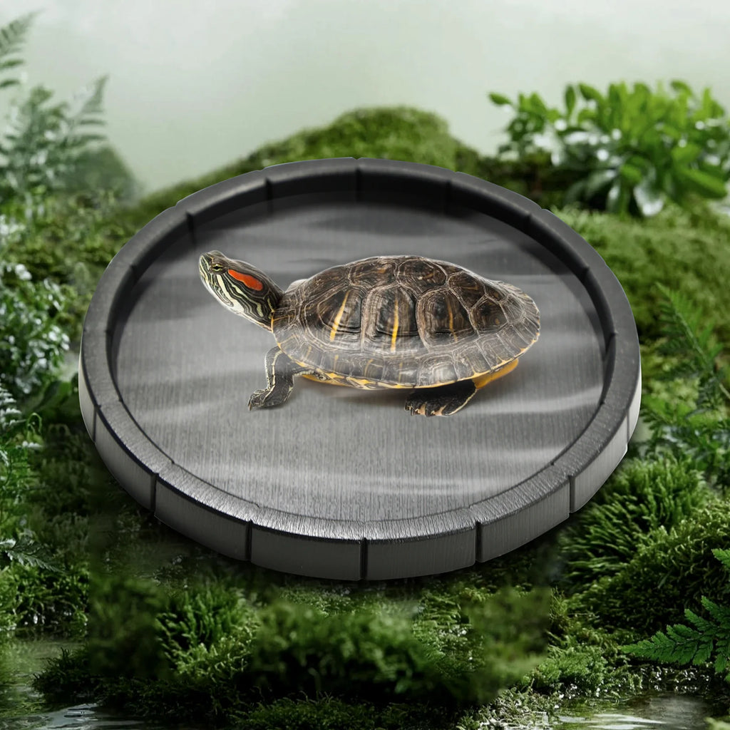 Black Plastic Material, Round and Hexagonal Reptile Lizard, Turtle Feeding Basin, Water Basin, Frog Bath Basin