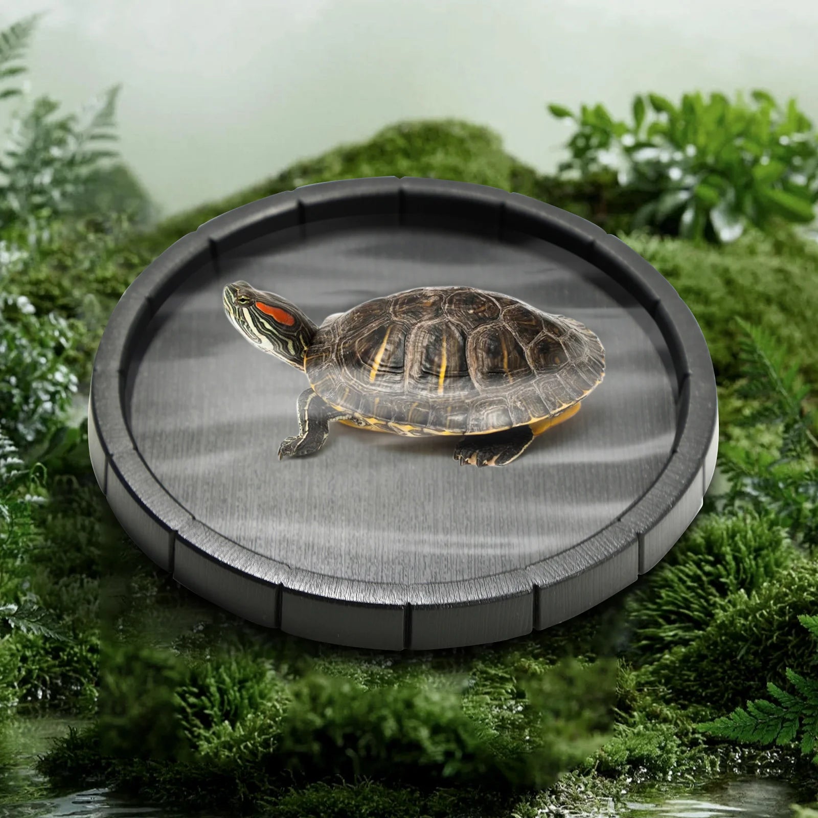Black Plastic Material, Round and Hexagonal Reptile Lizard, Turtle Feeding Basin, Water Basin, Frog Bath Basin