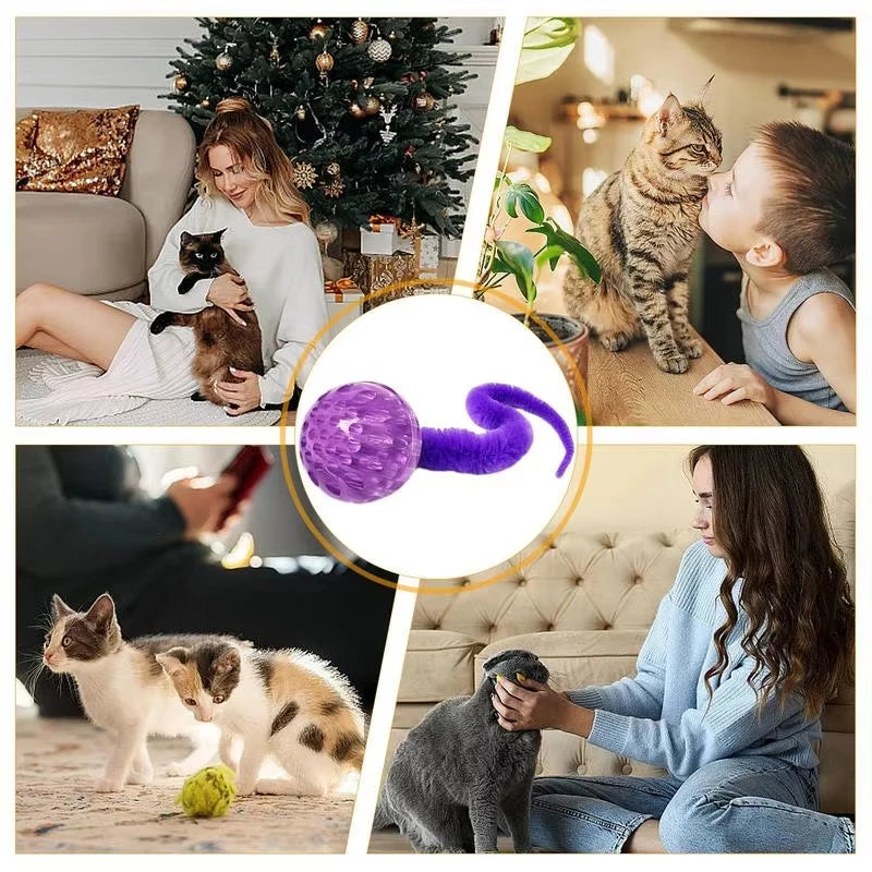 3-Pack Bouncing Caterpillar Cat Toy Wands — Bite-Resistant Rubber Ball with Tail for Kittens