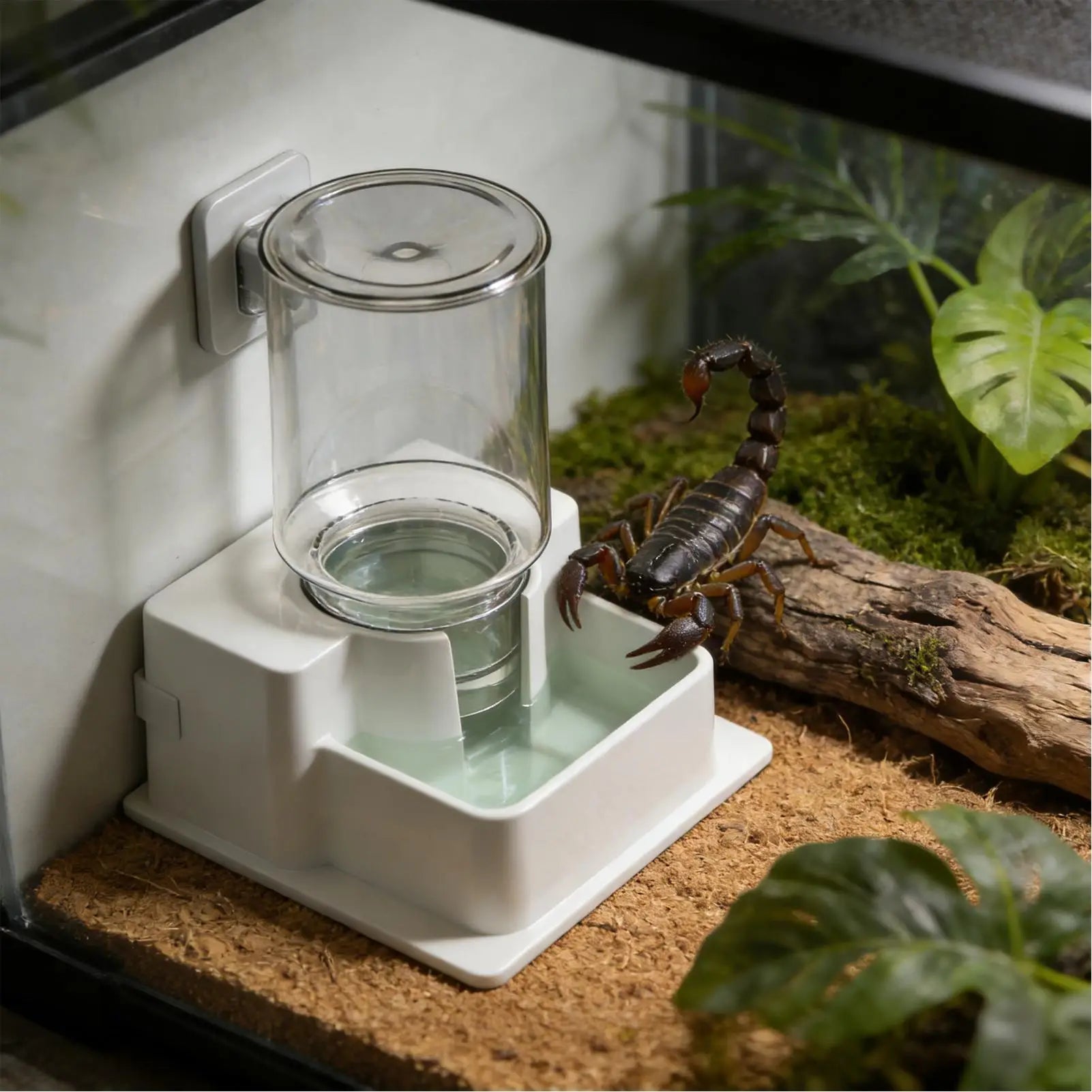 Automatic Reptile Water Dish Reusable Container Creative Feeder Station Ornament Drinking Tool for Snakes Tortoise Geckos