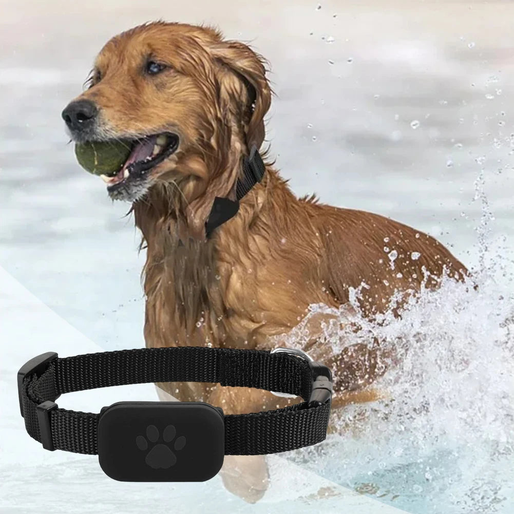 Cat & Dog GPS Locator Collar with Adjustable Smart Tracker - Lightweight Anti-Loss Pet Device