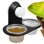 Gecko Food Bowl Gecko Feeding Cups Dispenser with 4 Cups Ledge Accessories Tray for Frog Lizard Chameleons Breeding Feeders