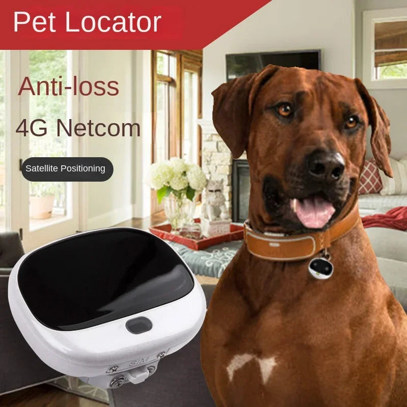 4G LTE GPS Pet Tracker - Waterproof, Real-Time Location (RF-V43)