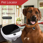 4G LTE GPS Pet Tracker - Waterproof, Real-Time Location (RF-V43)