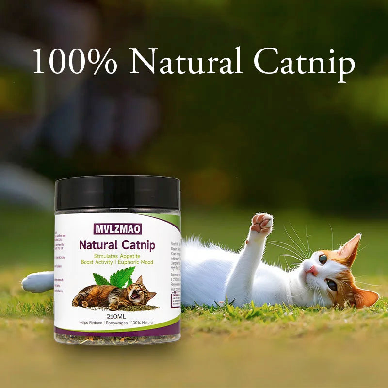 100% Natural Silvervine Catnip Loose Leaf Herbal Tea — 210ml Safe for All Cat Ages