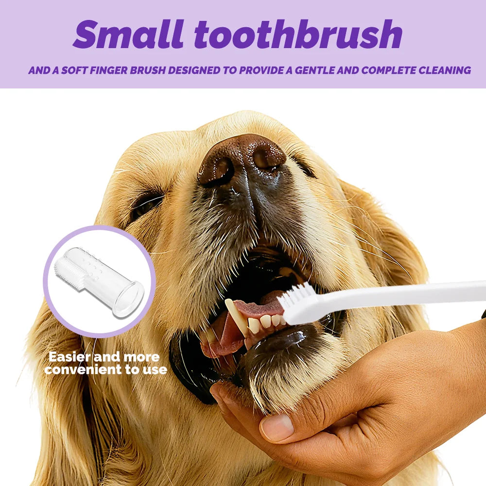 Pet Dog Toothpaste Oral Cleaning Set with Toothbrush And Finger Brush Roasted Chicken Flavor Reduces Plaque And Tartar Pet Teeth