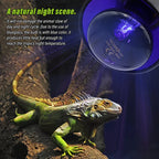 220v Pet Reptile UVA UVB Lamp Bulb Reptile Daylight Lamp Heating Lamp Basking Light For Turtle Lizard Terrarium