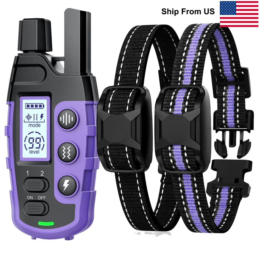 1000m Waterproof Dog Training Collar with Remote