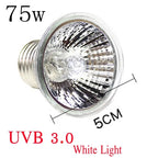 220V 25/50/75W UVA+UVB Reptile Lamp Bulb Turtle Basking UV Light Bulbs Heating Lamp Amphibians Lizards Temperature Controller
