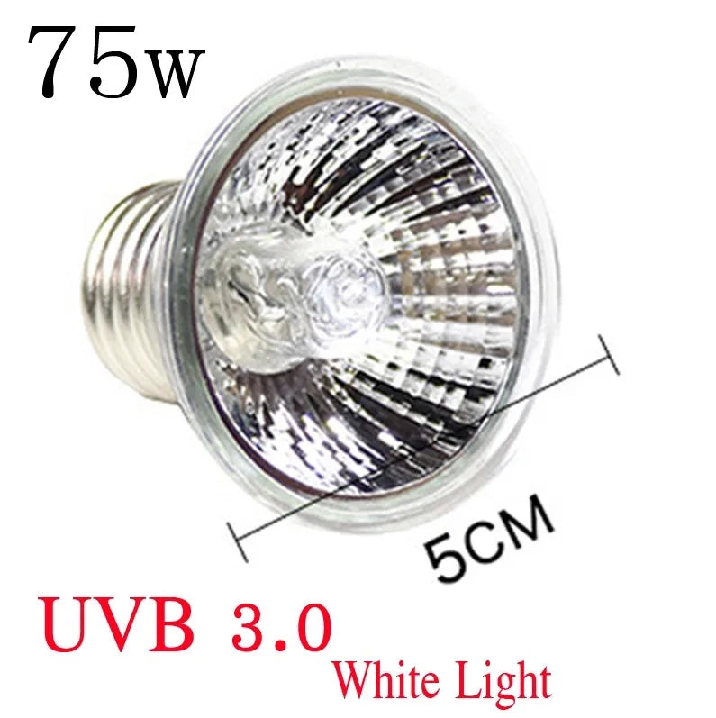 220V 25/50/75W UVA+UVB Reptile Lamp Bulb Turtle Basking UV Light Bulbs Heating Lamp Amphibians Lizards Temperature Controller