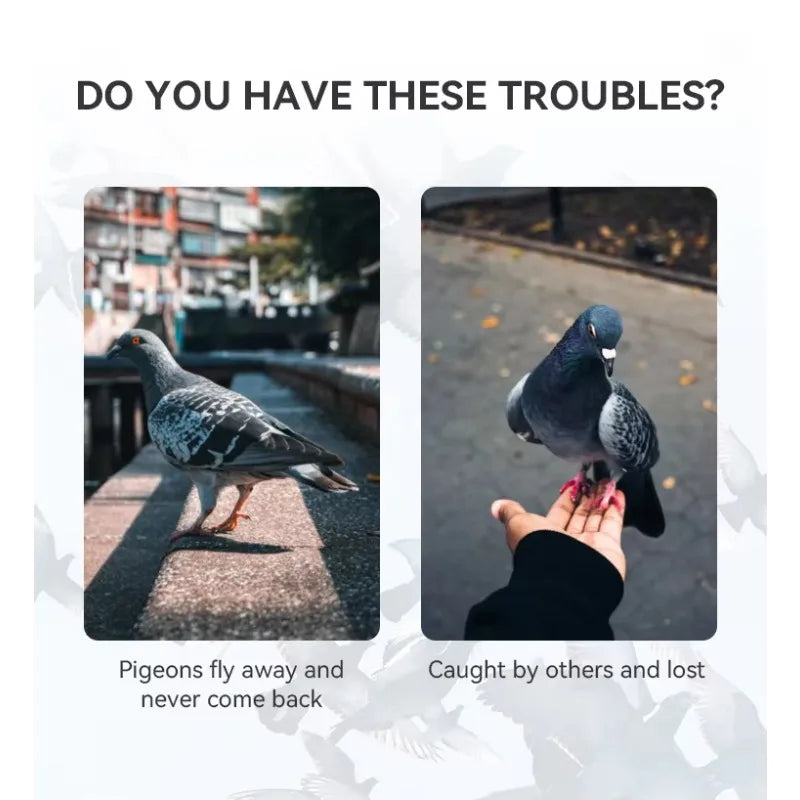 Pigeon GPS Racing Tracker Ring - Real-Time Electronic Positioning for Racing & Training Birds