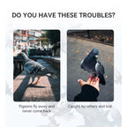 Pigeon GPS Racing Tracker Ring - Real-Time Electronic Positioning for Racing & Training Birds