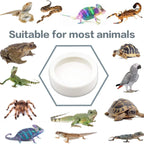 Reptile Water Food Bowl Anti-Escape Ceramic Feeder Dish for Lizard Hermit Gecko Chameleon Corn Snake Bearded Dragon Accessories