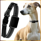 Dual-Mode GPS Tracker with Adjustable Collar for Dogs & Cats - Smart App-Connected Pet Locator