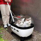 Portable Pet Stroller Transparent Cat Trolley Lightweight Foldable Wheeled Puppy Travel Carrier Compact Dog Cat Carrier Outdoor