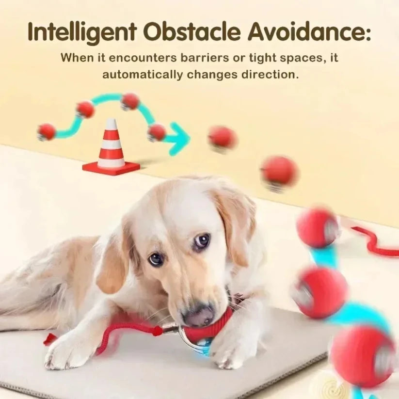 Automatic Rolling Ball Cat Toy with Tail
