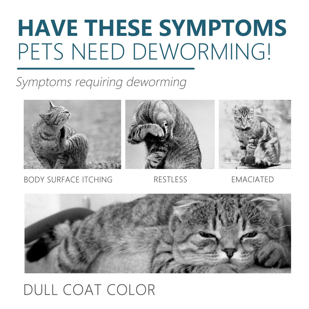 Cat Anti Flea Tick Drops Pet External Deworming Liquid Kill Lice Mite Relieve Itching Ringworm Treatment Cat Skin Insect Remover