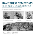 Cat Anti Flea Tick Drops Pet External Deworming Liquid Kill Lice Mite Relieve Itching Ringworm Treatment Cat Skin Insect Remover