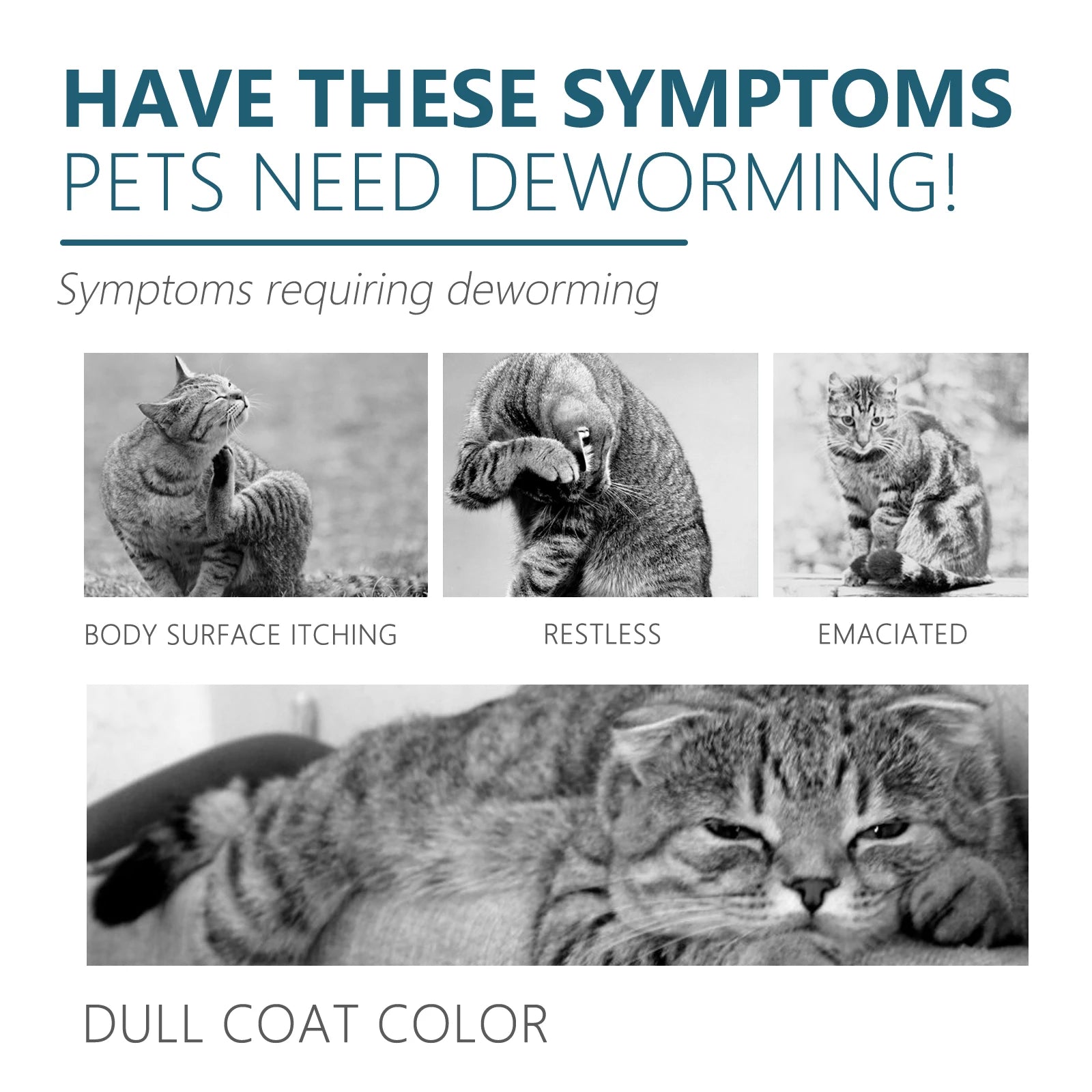 Cat Anti Flea Tick Drops Pet External Deworming Liquid Kill Lice Mite Relieve Itching Ringworm Treatment Cat Skin Insect Remover