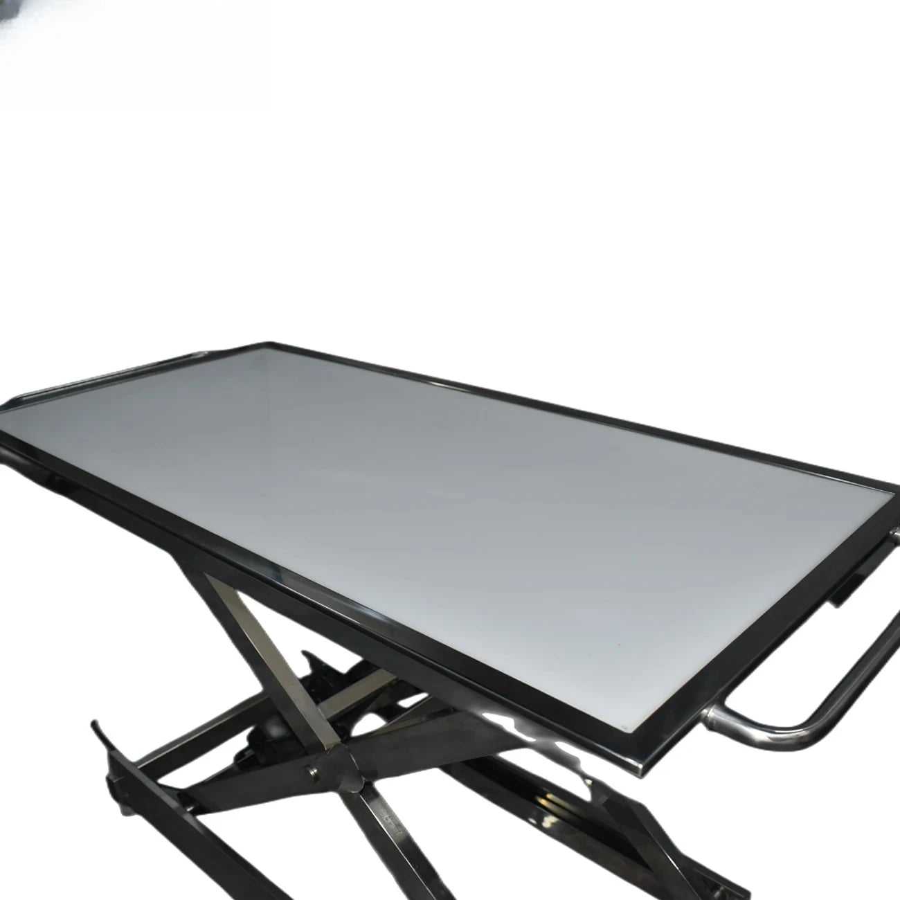 Veterinary Pet Stretcher Table, Multipurpose Surgery Bed