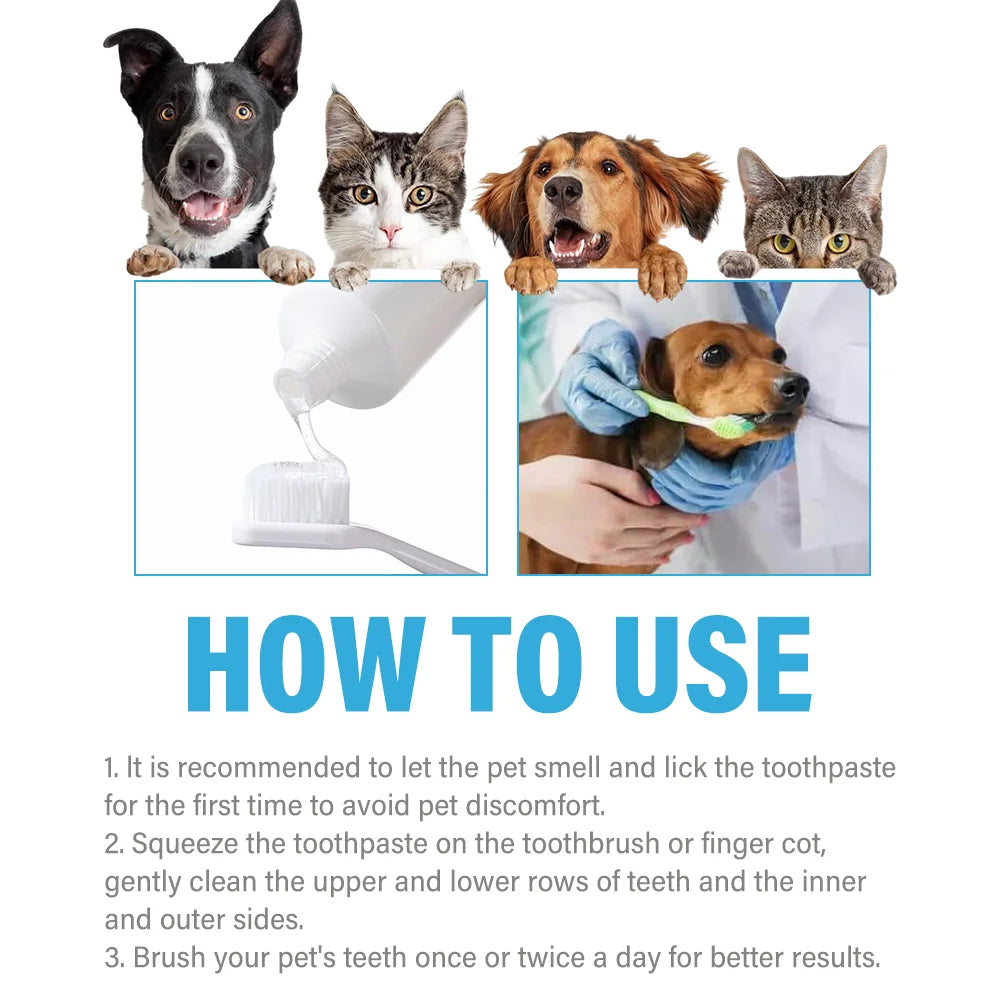 Beef Flavored Pet Toothpaste for Dogs & Cats Gentle Oral Care Formula Reduces Tartar Daily Use Freshens Breath Favorite with Bee