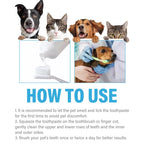 Beef Flavored Pet Toothpaste for Dogs & Cats Gentle Oral Care Formula Reduces Tartar Daily Use Freshens Breath Favorite with Bee