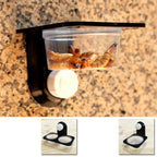 Reptile Tank Accessories Insect Spider Ants Nest Snake Gecko Food Water Feeding Bowl Terrarium Breeding Feeders Box Pets Supplie
