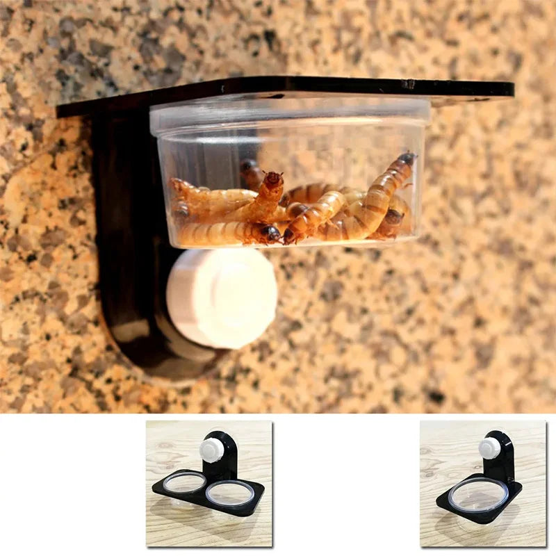 Reptile Tank Accessories Insect Spider Ants Nest Snake Gecko Food Water Feeding Bowl Terrarium Breeding Feeders Box Pets Supplie