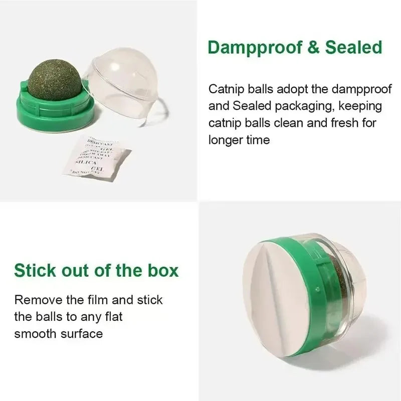Mint Cat Dental Chew Ball Toy — Teeth Cleaning & Entertainment Lick Toy