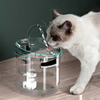 Activated Carbon Filter for Pet Water Drinking Fountain (Replacement, Black)