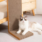 Large Cat Scratcher Nest Bed & Scratch Pad — Durable Indoor Cat Toy & Furniture