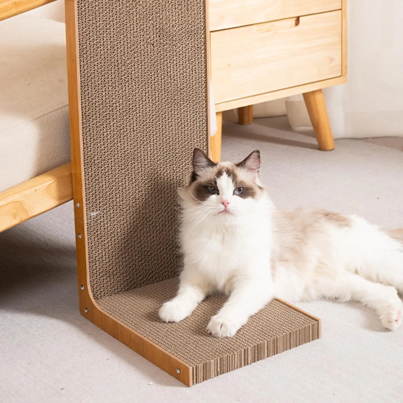 Large Cat Scratcher Nest Bed & Scratch Pad — Durable Indoor Cat Toy & Furniture