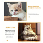 Suction Cup Cat Teaser Stick with Colorful Fur Ball Spring — Interactive Floor Toy for Cats
