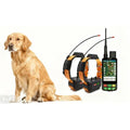 Professional Hunting Dog GPS Tracker with Real-Time Compass & 20-Collar Sync - OEM Available