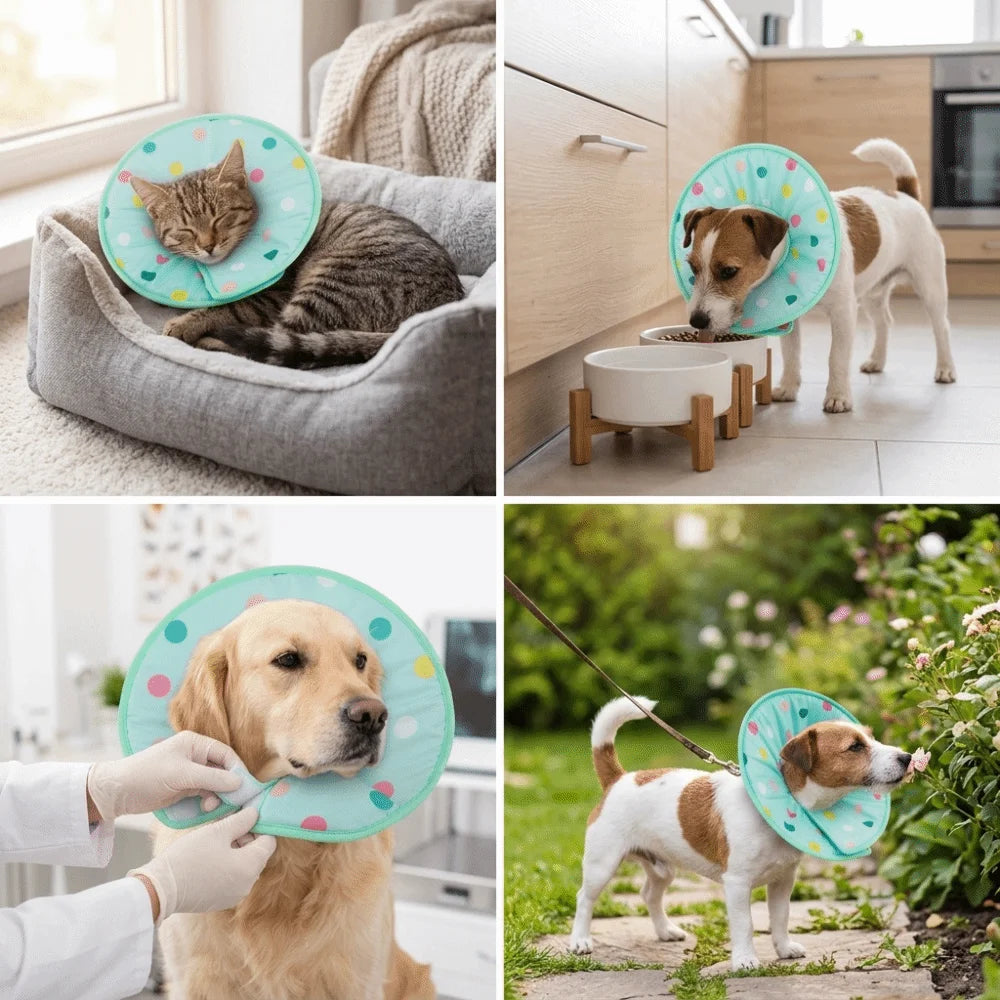 Sponge Padded Pet Recovery Ring Flexible Frame Light Weight Soft Protective Ring Skin Friendly Polka Dot Anti Lick Guard