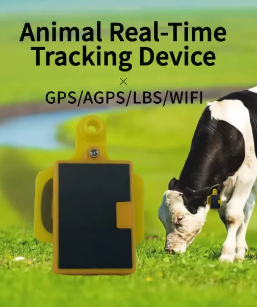 GPSONE Solar-Powered Cow Ear Tag GPS Tracker for Cattle & Livestock - Smart Grazing Management