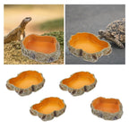Reptile Water Bowls Decorative Terrarium Habitat Decoration Resin Feeding Bowl for Frog Tortoise Turtle Leopard Gecko
