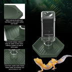 Reptile Water Dispenser-Bearded Dragon Water Bowl - Small Water Dish for Tortoise - Bowls for Reptiles & Amphibians (S)