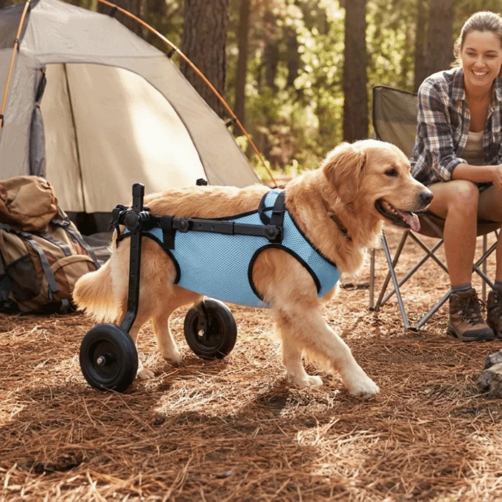 Adjustable Dog Wheelchair Breathable Comfortable Dog Mobility Scooter Hind Leg Support Rehabilitation Walking Assistant