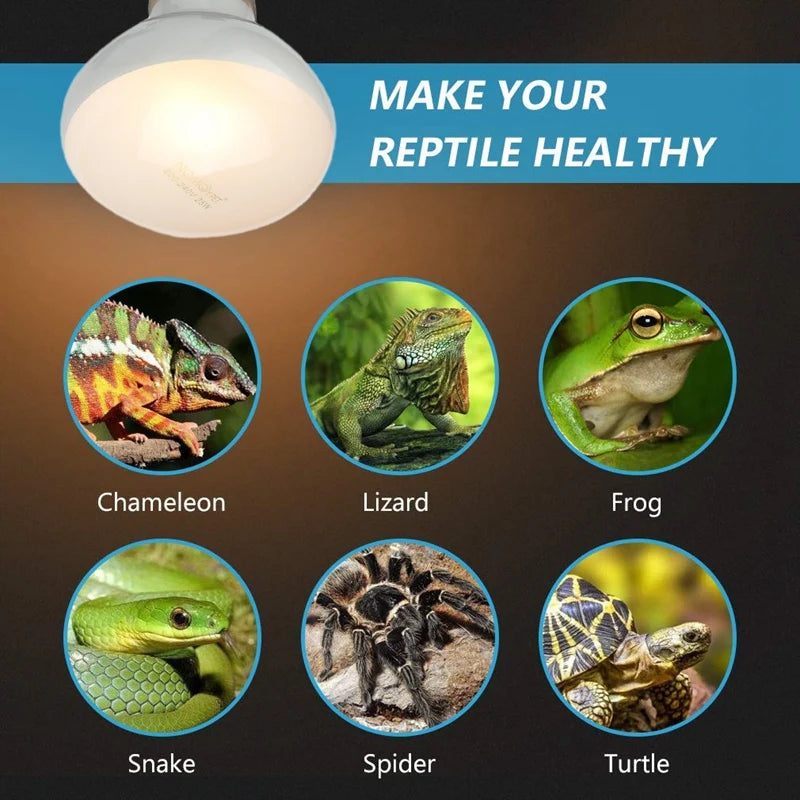 2 Pack Reptile Uvb Uva Heat Lamp Bulb For Reptiles Truly Sun-Like Bright Heat For Reptiles Amphibian And Birds 100 W