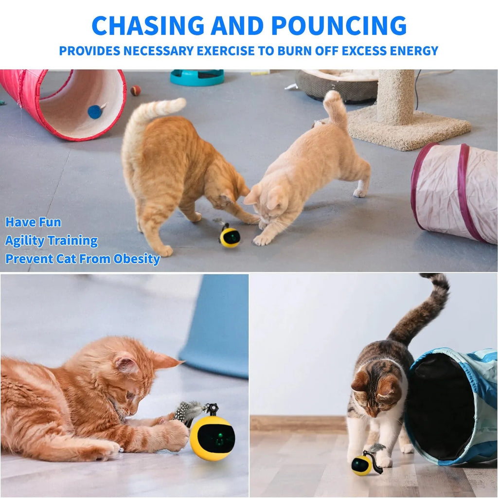 Rechargeable Automatic Electric Cat Ball Toy — Intelligent Self-Rolling Boredom Buster