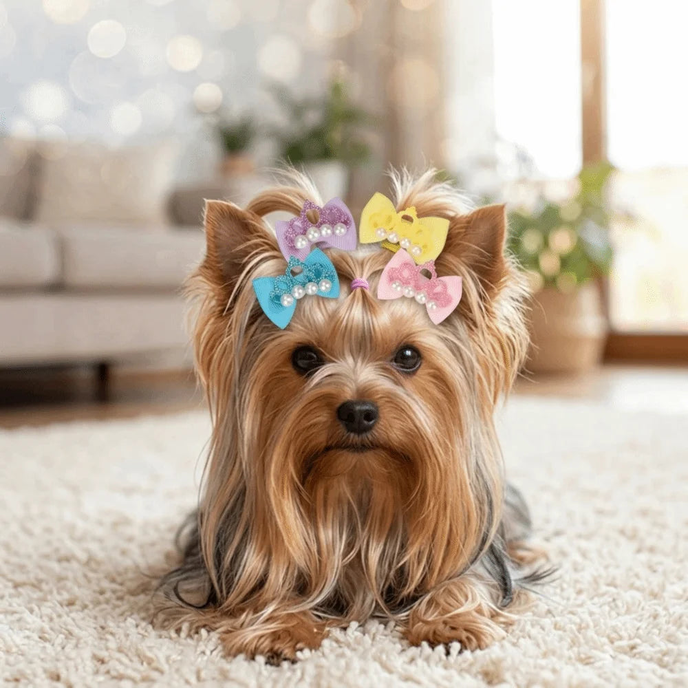 20pcs Bow Shaped Pet Hair Bow Elastic Band Cartoon Look Dog Hair Tie Crown Style Soft Textured Pet Crown Ornament