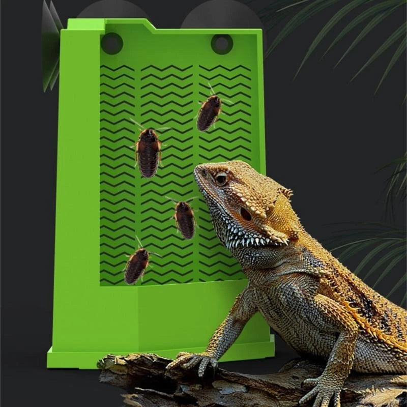 Reptiles Corner Feeder Feeding Dish Easy to Install Suction Cup Mounted Corner Feeder Box For Lizards And Amphibians Y5GB