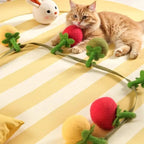 Tomato Cat Teaser String Toy (3-Pack)